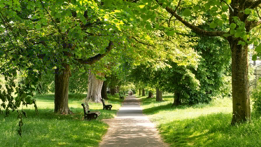 Meryton Walk