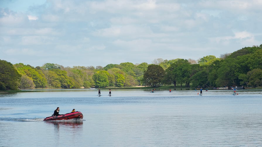 Sherecroft Meadows