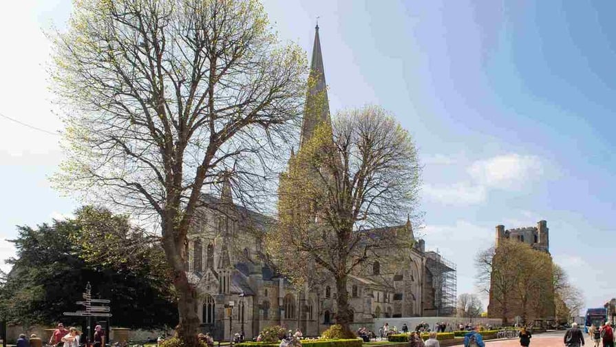 The Yews