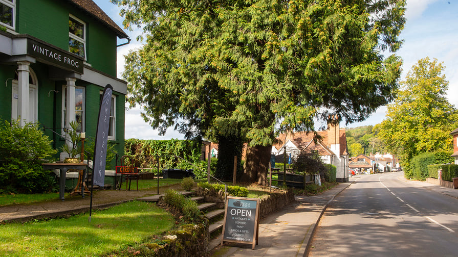 Tillingbourne Gardens