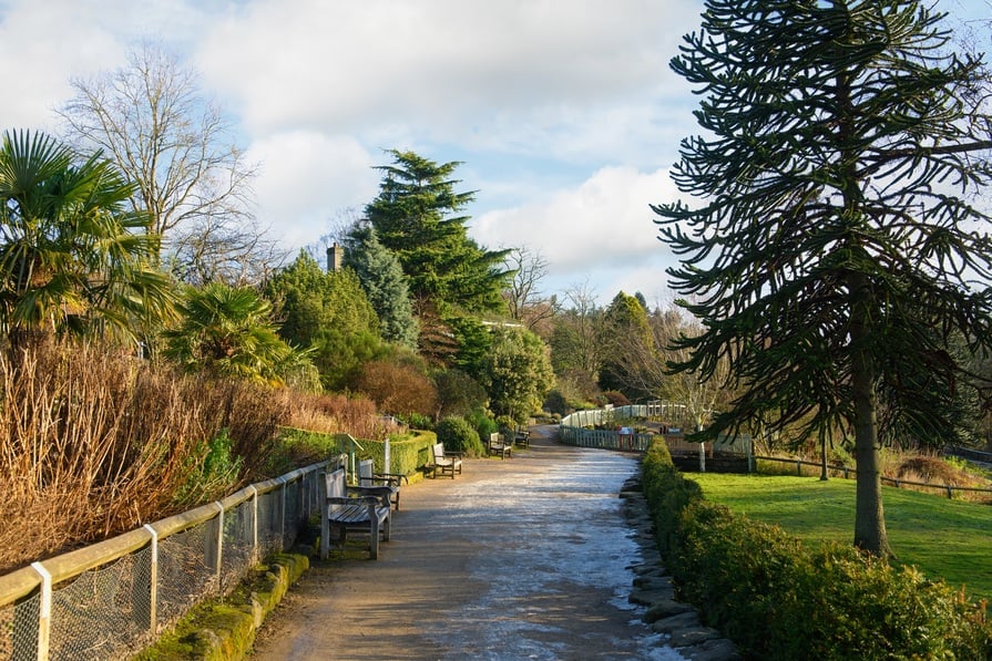 Barratt @ Torrance Park