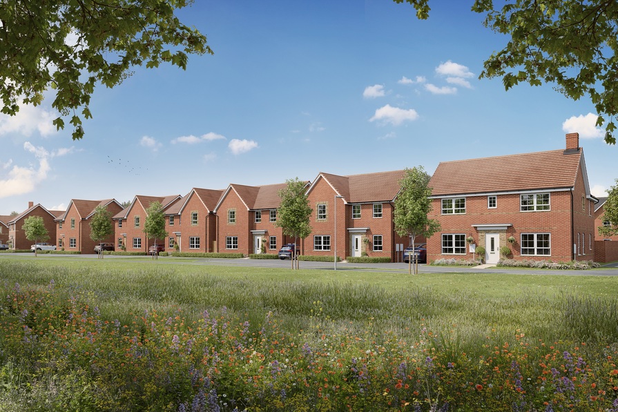 Hawthorn Grove