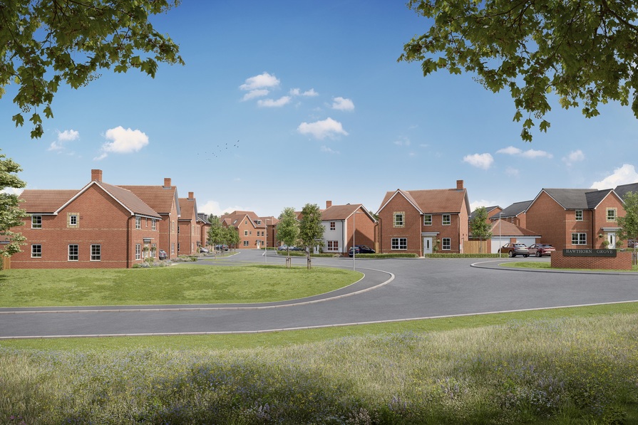Hawthorn Grove