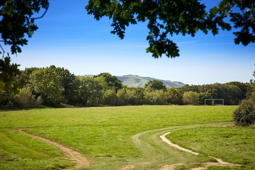 Hawthorn Grove
