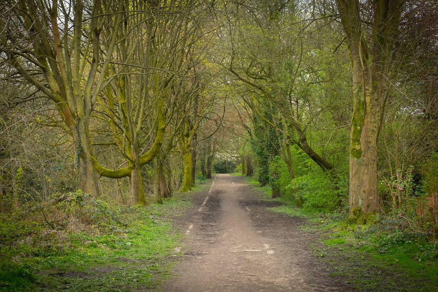 Midshires Meadow