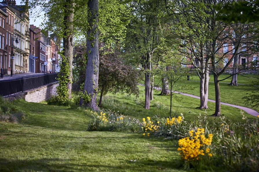 Romans Green