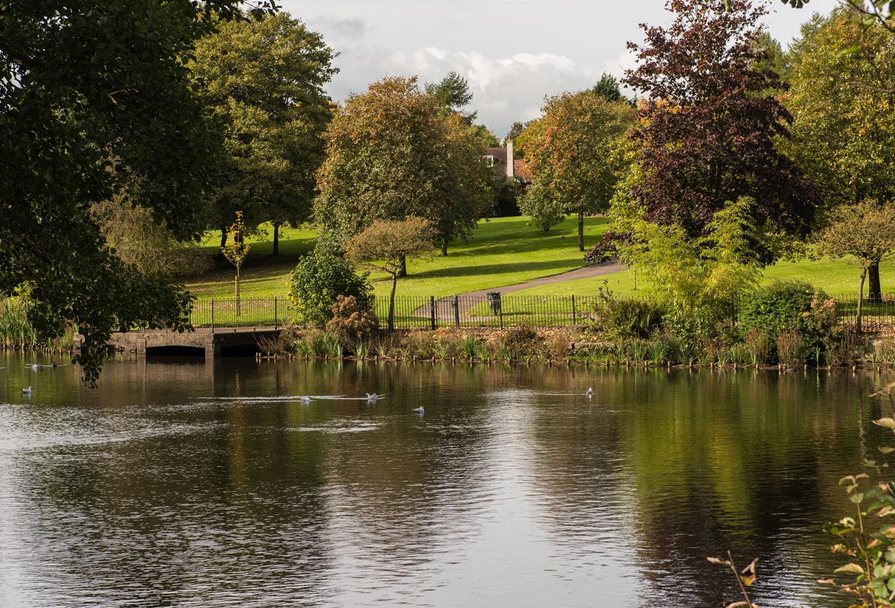 Silk Waters Green