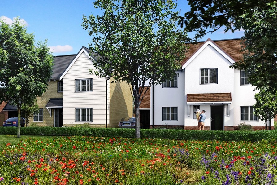 Ivy Hill