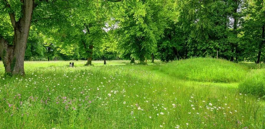 Abbey Barn Park