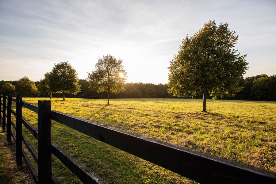 Bloor Homes at Blythe Valley