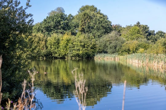 Elsenham Brook