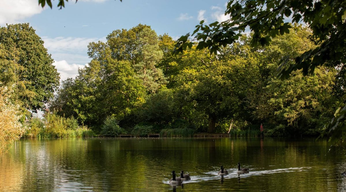 Sambrooke Park