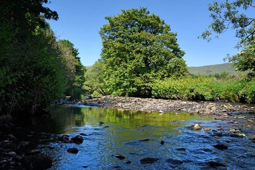 Weaver's Brae