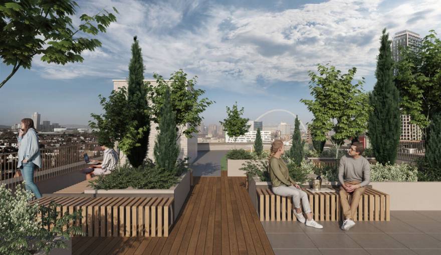The Mirador