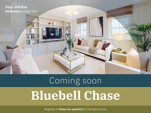 Bluebell Chase