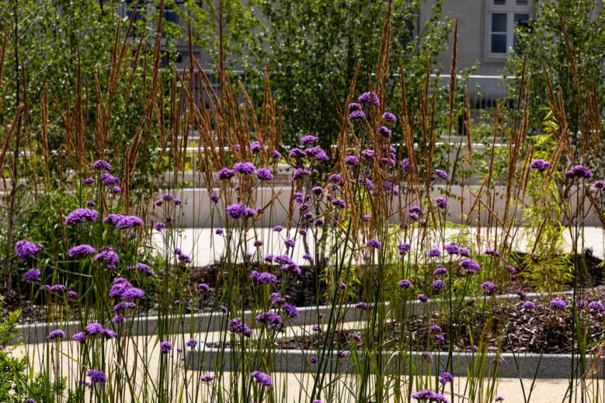Hepworth Place