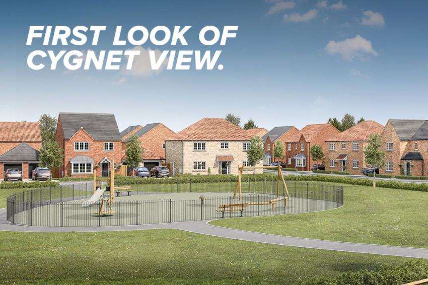 Cygnet View