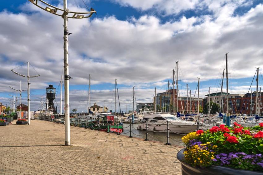 Cygnet View