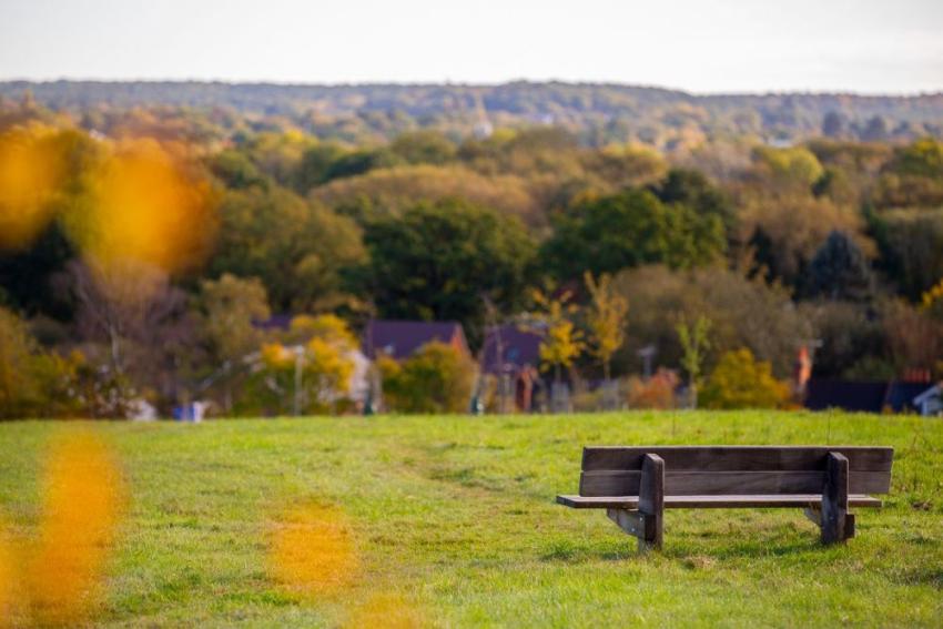 Fernhurst