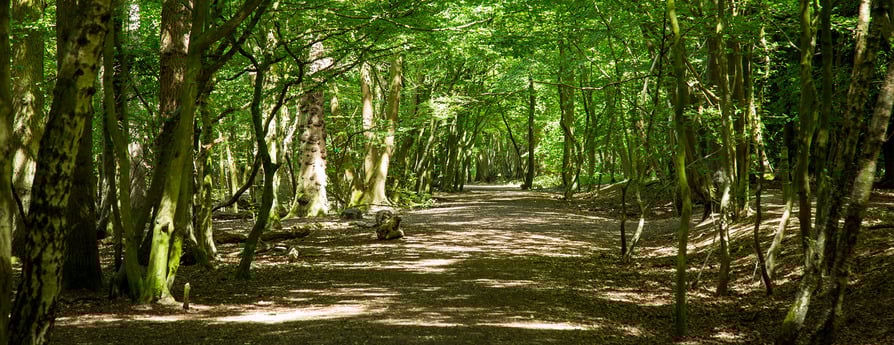 Croft Gardens