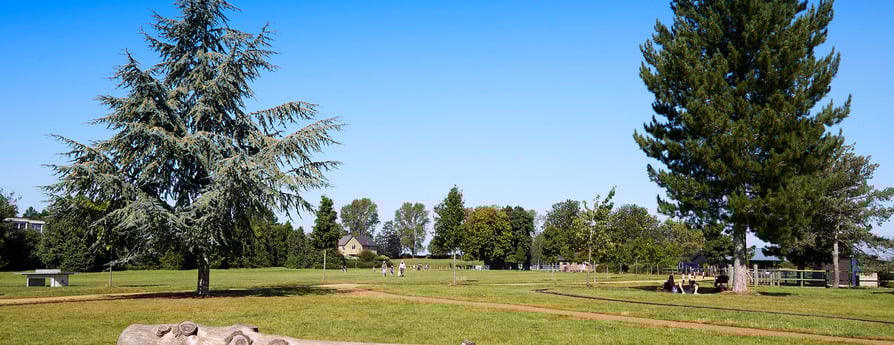Priory Grove
