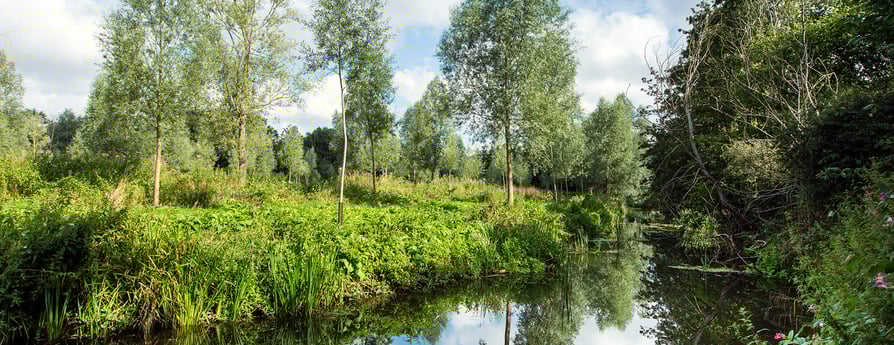 Silk Row
