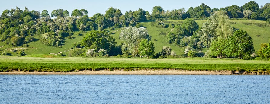 Slate Meadow