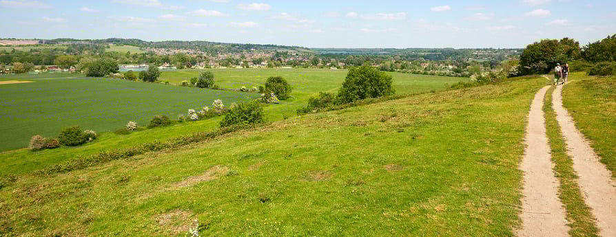 Slate Meadow