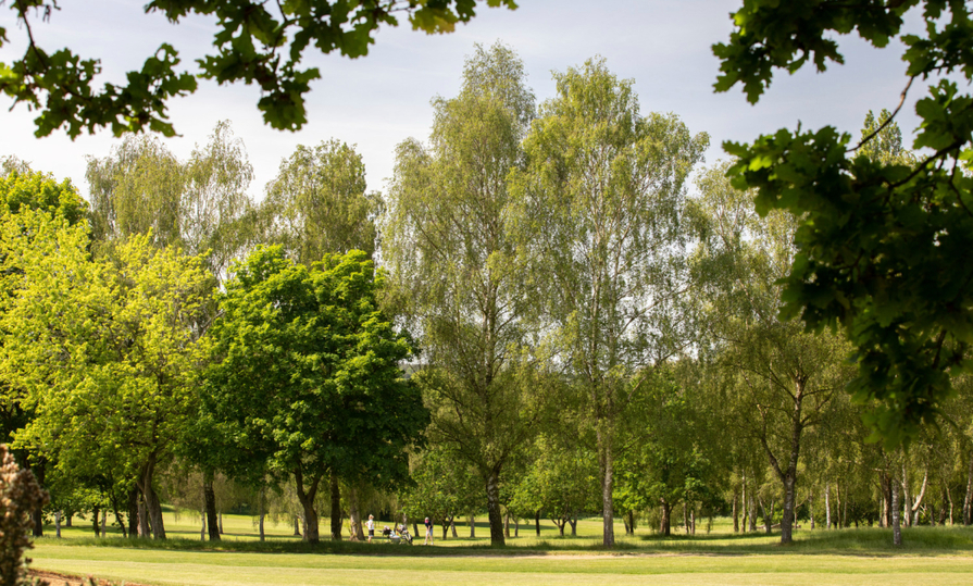 Abbots Place
