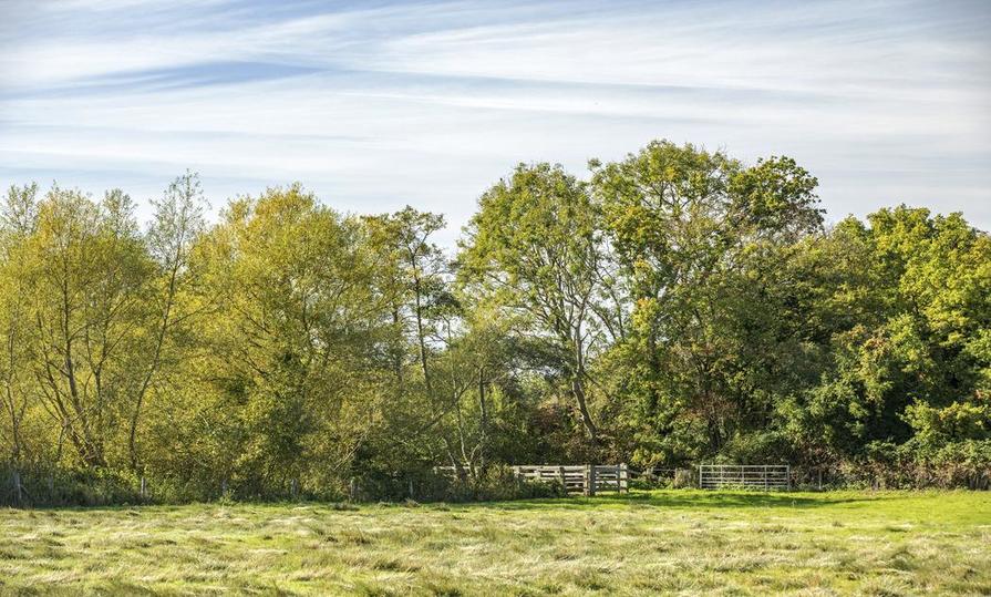 Buckmore Green