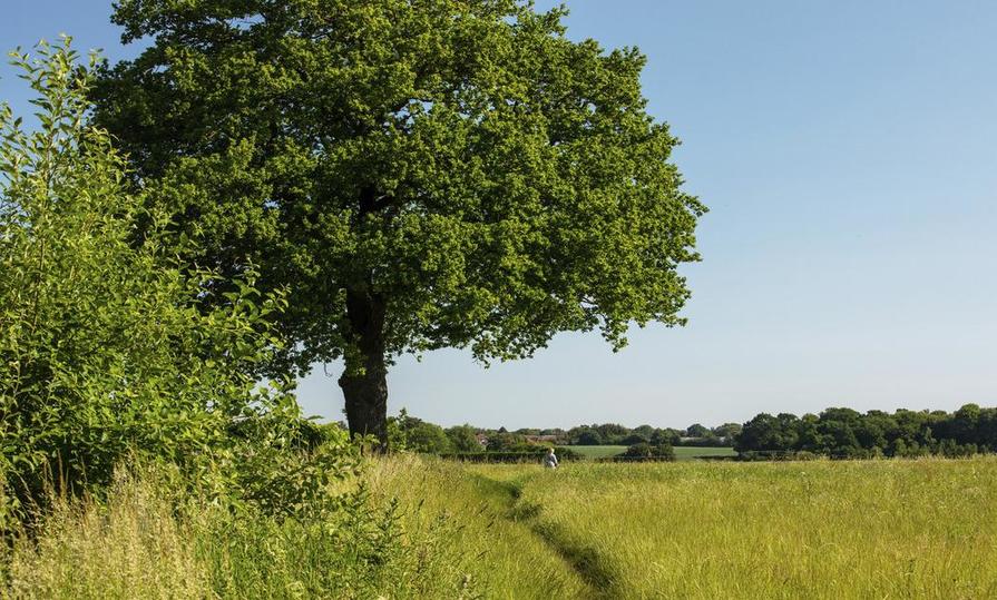 Wittering Place