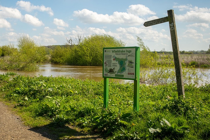 Bramble Wood