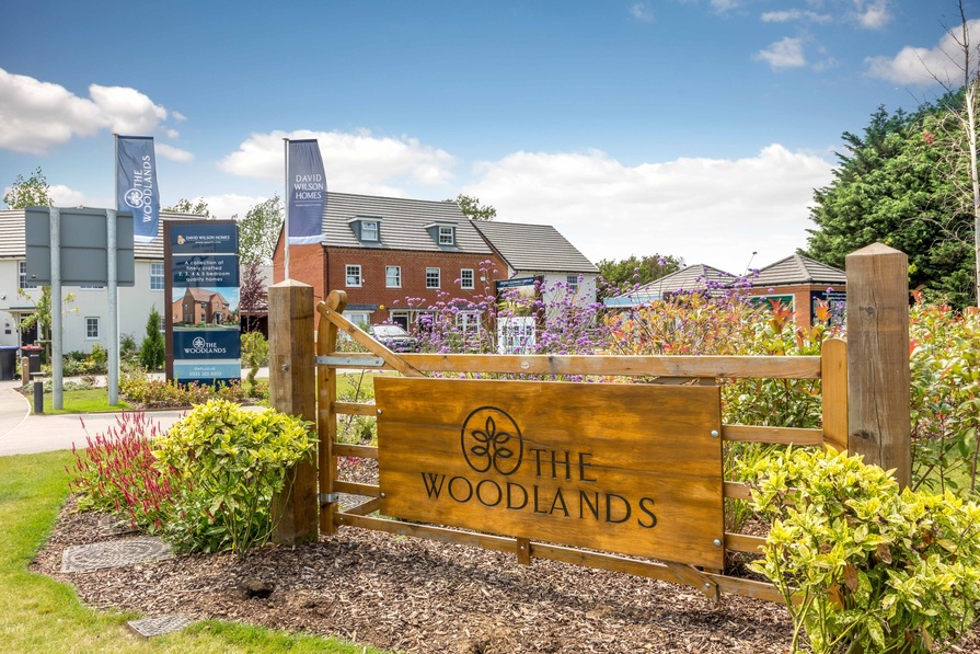 David Wilson Homes The Woodlands
