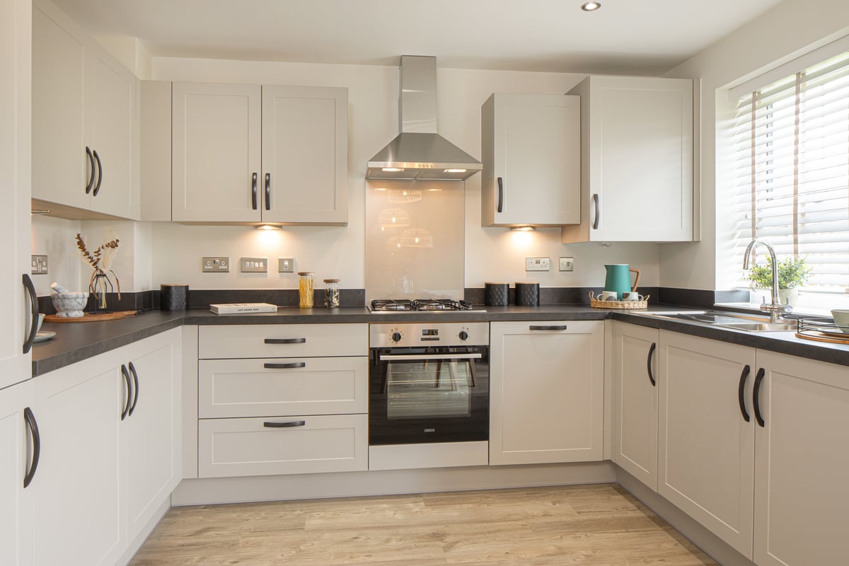 David Wilson Homes @ Treledan