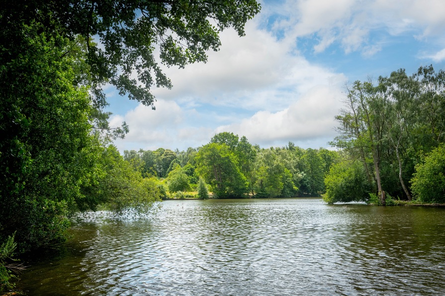 Elm Tree Park