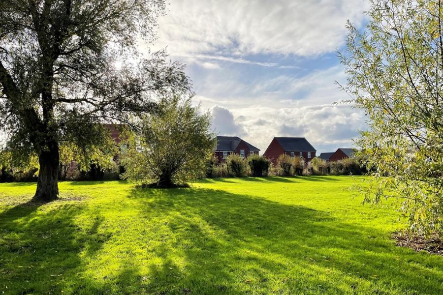 Lavendon Fields