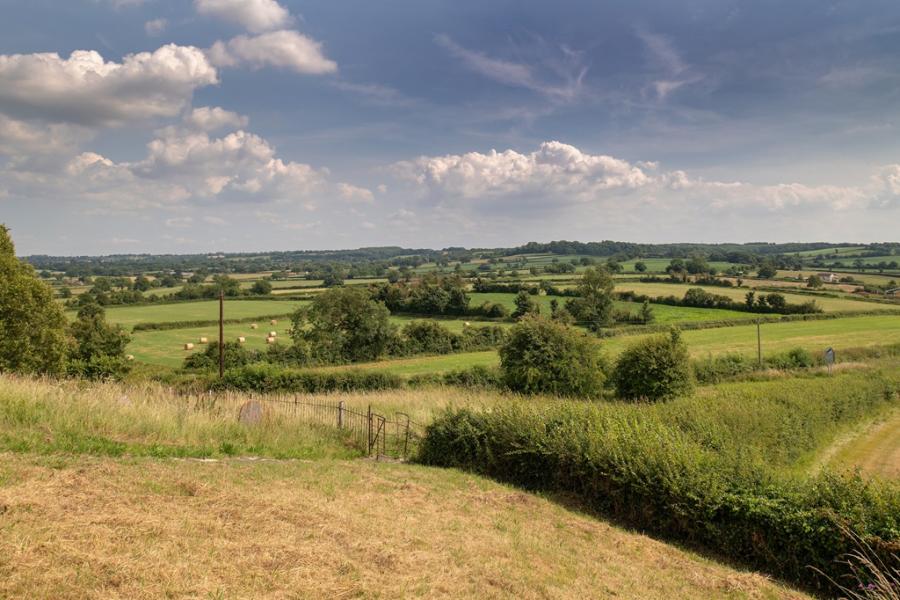 Morton Meadows