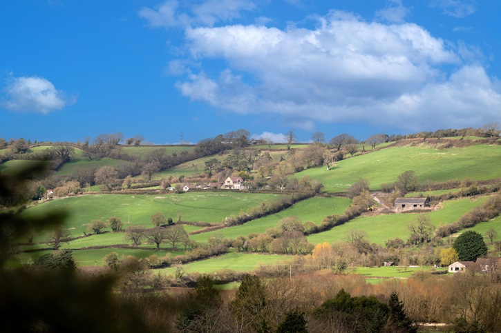 Somer Meadows