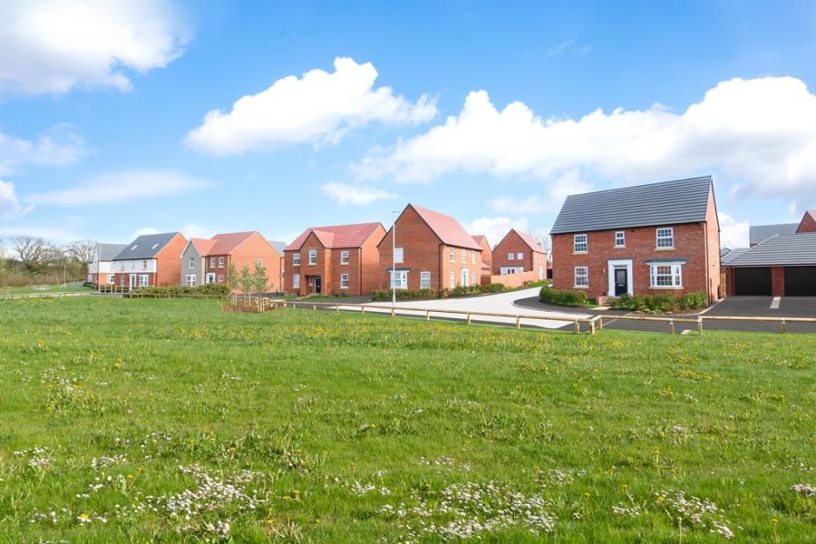 Wigston Meadows