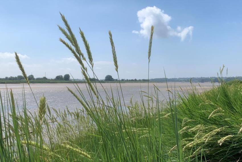 Severnbank