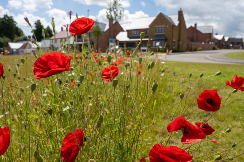 Harborough Road, Stoke Albany