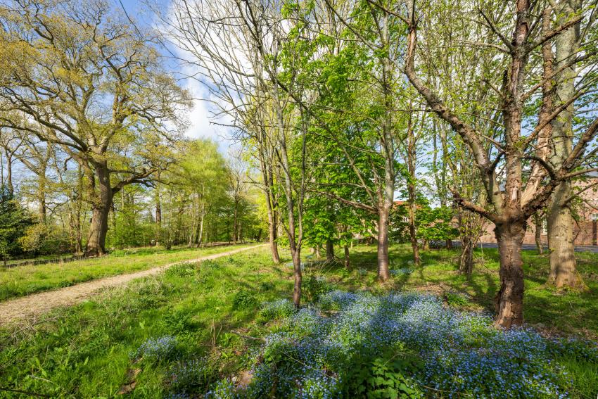 Wilton Park