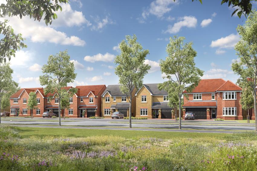 Sandlands Park Phase 4