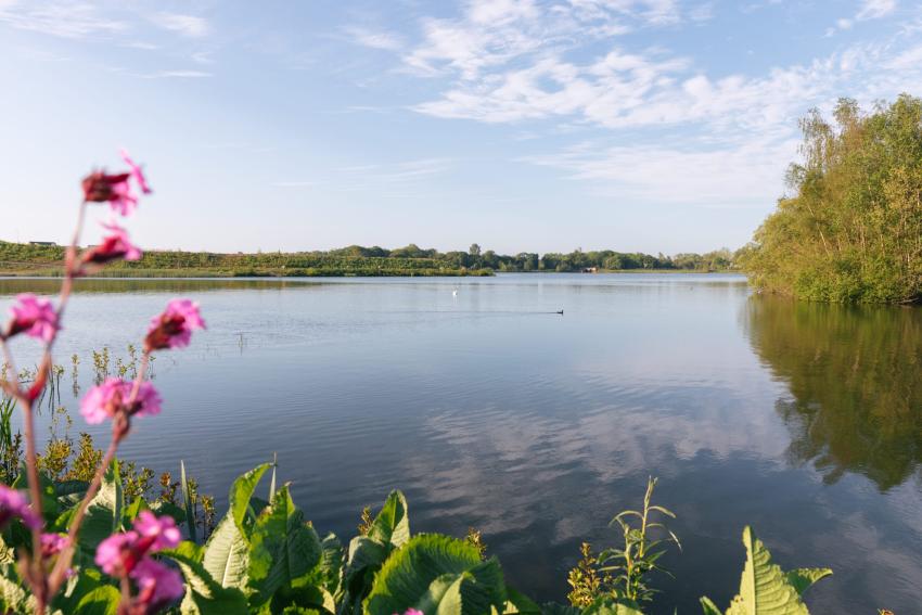 Shipley Lakeside