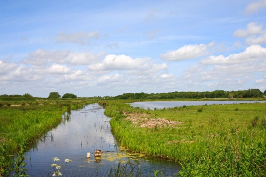 Broadland Fields