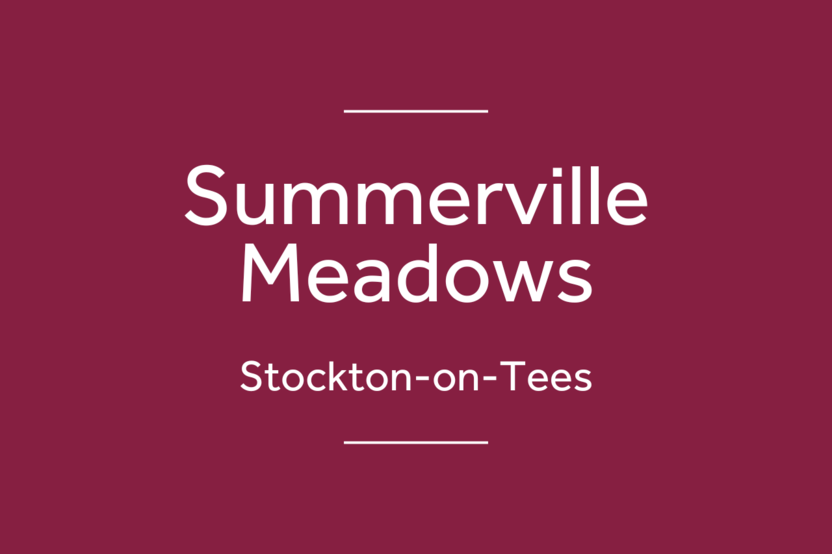 Summerville Meadows
