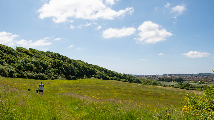 Bincombe Park