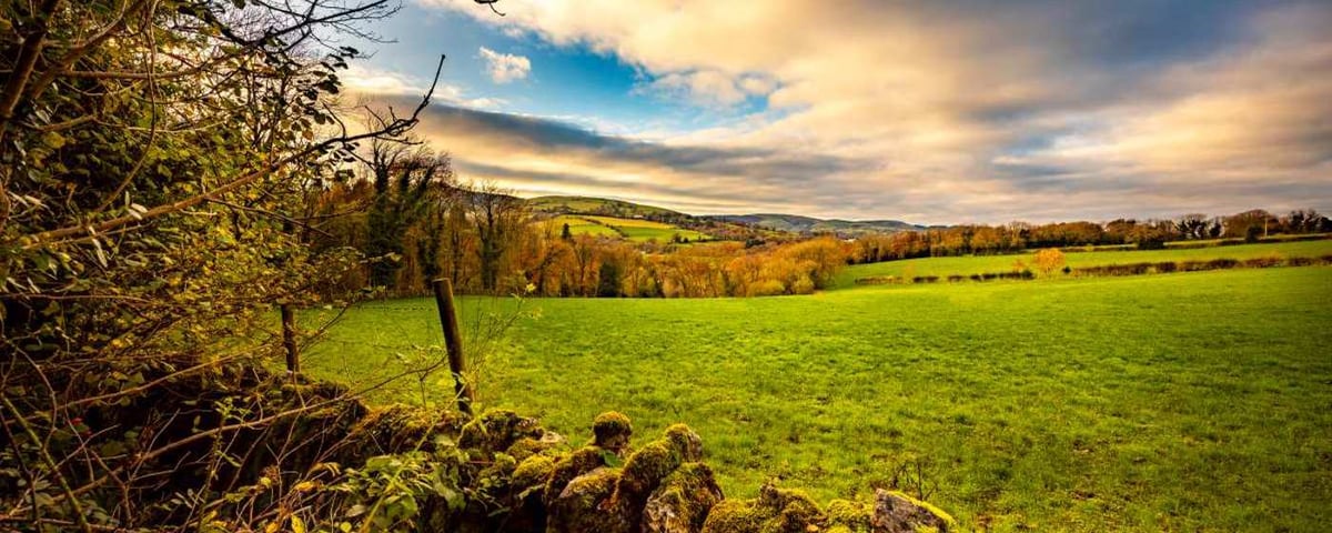 Bryn Castell