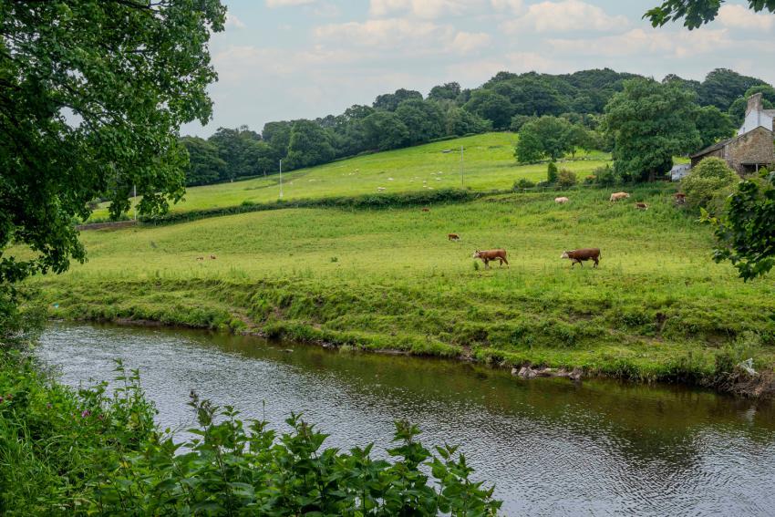 Whalley Manor