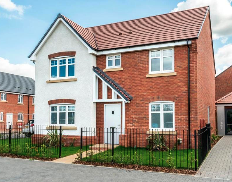 Meadows View